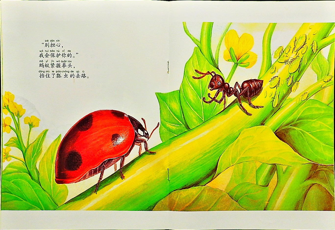 勇敢的小蚂蚁 (08),绘本,绘本故事,绘本阅读,故事书,童书,图画书,课外阅读